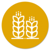 Agro-Food